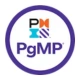 إدارة البرامج الاحترافية (PgMP) ®